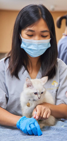 Advanced VetCare