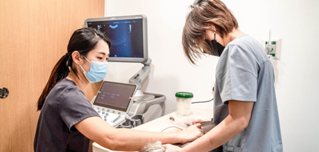 Advanced VetCare