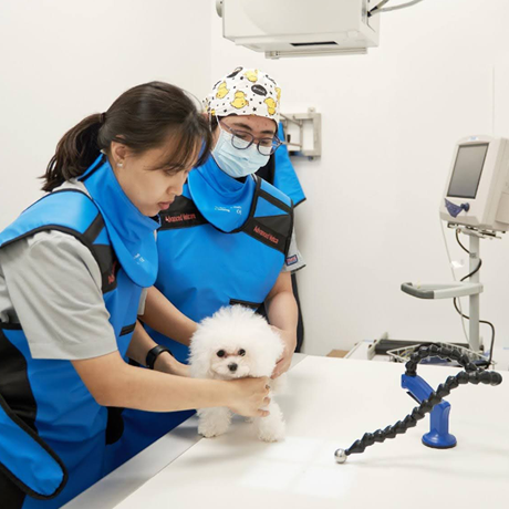 Advanced VetCare
